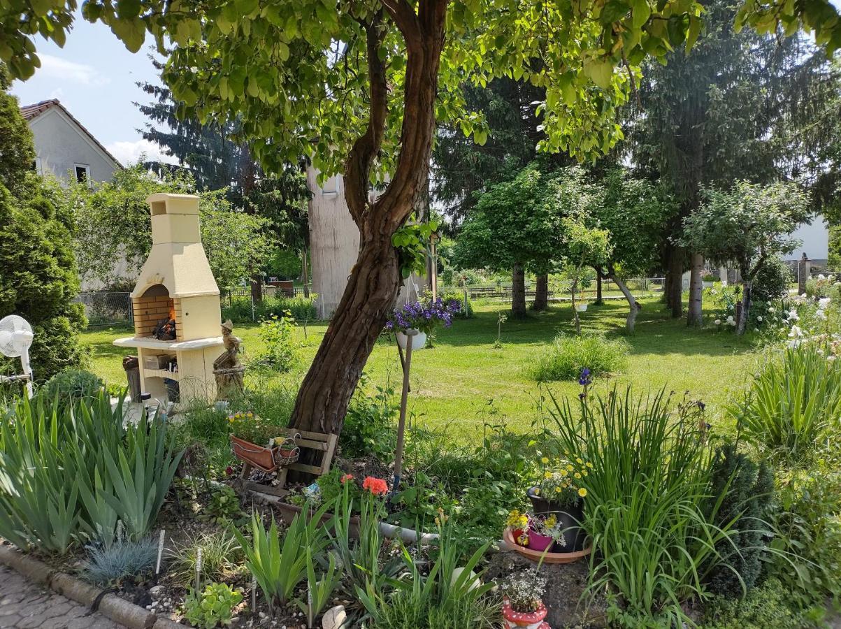 Villa Drenje Kljuc Brdovecki Zewnętrze zdjęcie